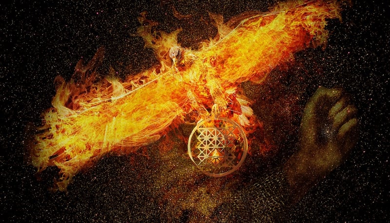 Phoenix Blossom